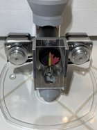 IMG_3667.jpeg