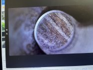 IMG_0516.jpeg
