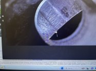 IMG_0524.jpeg