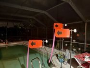 IMG_7223.jpeg