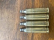 IMG_7826.jpeg