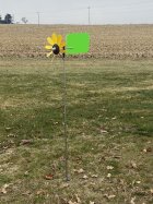 IMG_1737.jpeg