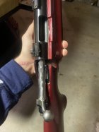 IMG_8326.jpeg