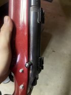 IMG_8325.jpeg