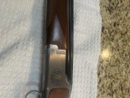 IMG_0699.jpeg