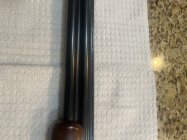 IMG_0700.jpeg