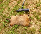 IMG_3797.jpeg