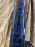 IMG_1590.jpeg