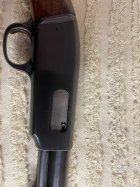 IMG_1343.jpeg