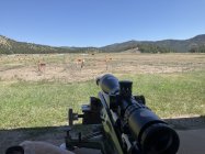 IMG_2163.jpeg