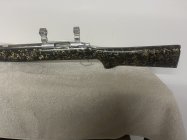 IMG_7666.jpeg