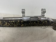 IMG_7670.jpeg