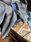 IMG_0173.jpeg