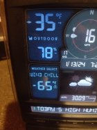 IMG_20240113_061720679.jpg
