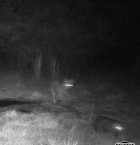 IMG_6530.jpeg