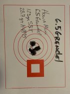 6.5 Grendel - 123gr Hornady SST with H4895 (Dec 15, 2023).jpg