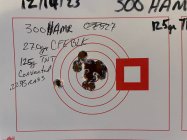 300 HAMR - 125gr Speers TNT & CFEBLK (Dec 15, 2023).jpg