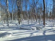 20240115_113506.jpg