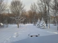 20240115_083902.jpg