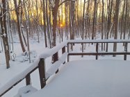 20240115_075729.jpg