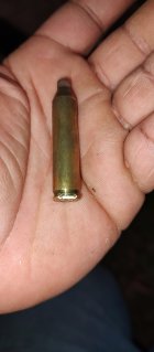 IMG_20240114_172909513.jpg