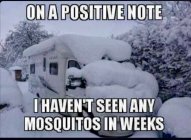 IMG_4169.jpeg