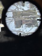IMG_2253.jpeg