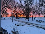 IMG_0380.jpg