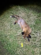 IMG_0267.jpeg