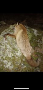 IMG_0253.jpeg