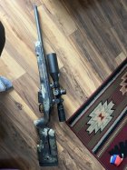 IMG_2206.jpeg