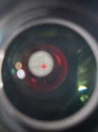 IMG_8319.jpeg