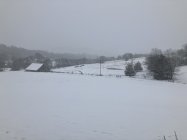 IMG_6585.jpeg