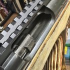 IMG_4161.jpeg