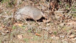 IMG_20240117_115441600.jpg