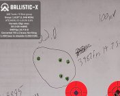 Ballistic-X-Export-2024-01-18 18_30_55.348143.jpg