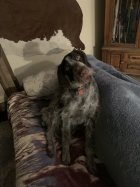 IMG_8350.jpeg
