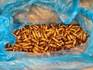 Lapua 100gr_2.jpg