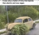 IMG_4248.jpeg