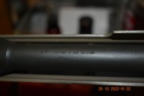 DSC_1017.JPG