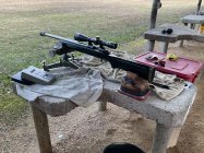 IMG_2537.jpeg