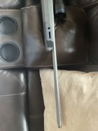IMG_1250.jpeg