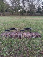 IMG_3289.jpeg