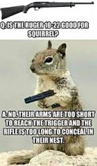 Squirrel  gun.jpg