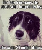 FB_IMG_1706622166837.jpg