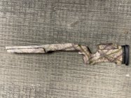IMG_5123.jpeg