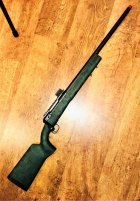 Hulk Savage 10 6.5 CM 9-13-2022.jpg