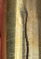 1706722702216.png