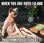 1706727171948.png