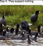 1706727458959.jpeg